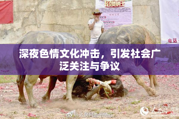 深夜色情文化冲击，引发社会广泛关注与争议