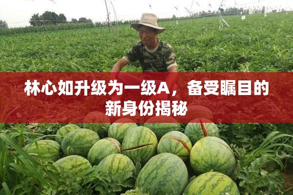 林心如升级为一级A，备受瞩目的新身份揭秘