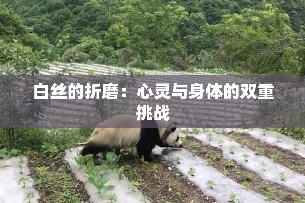 白丝的折磨：心灵与身体的双重挑战