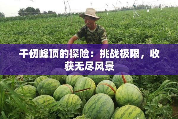 千仞峰顶的探险：挑战极限，收获无尽风景