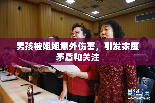 男孩被姐姐意外伤害，引发家庭矛盾和关注
