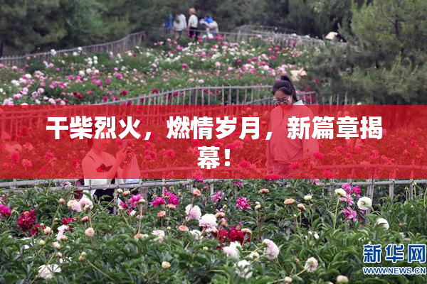 干柴烈火，燃情岁月，新篇章揭幕！