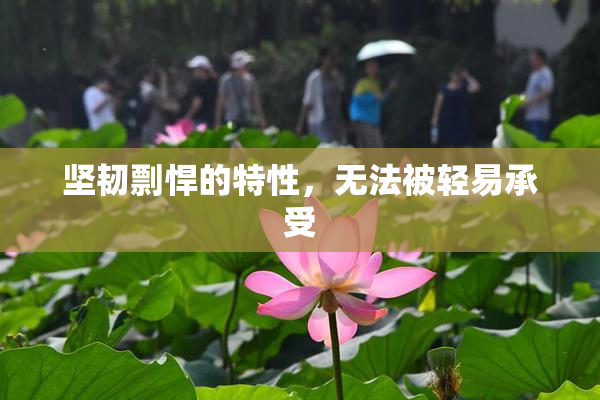 坚韧剽悍的特性，无法被轻易承受