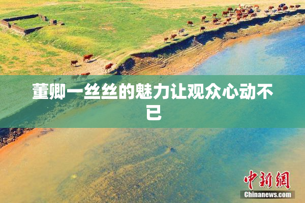 董卿一丝丝的魅力让观众心动不已