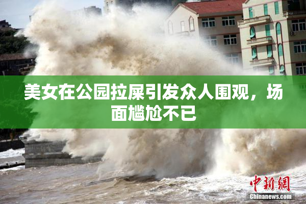 美女在公园拉屎引发众人围观，场面尴尬不已