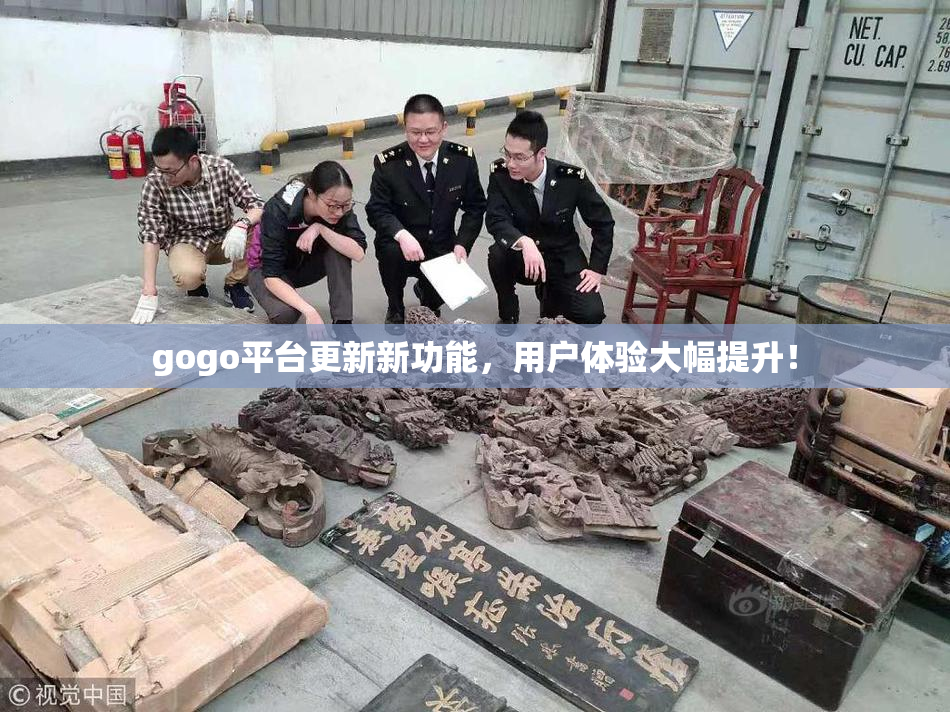 gogo平台更新新功能，用户体验大幅提升！