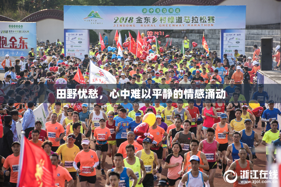 田野忧愁，心中难以平静的情感涌动