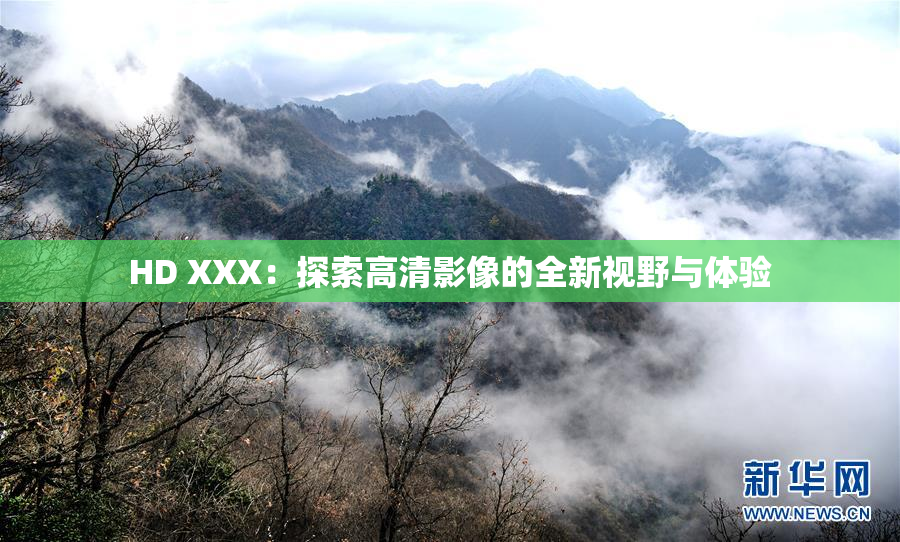 HD XXX：探索高清影像的全新视野与体验