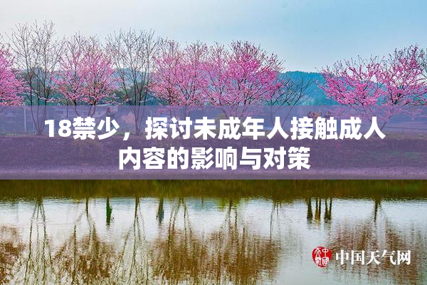 18禁少，探讨未成年人接触成人内容的影响与对策