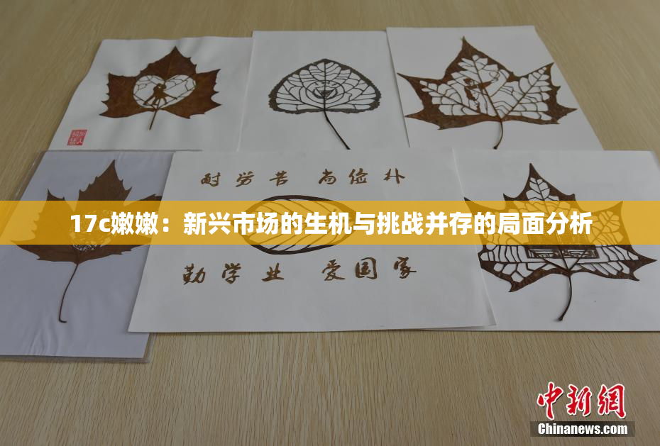 17c嫩嫩：新兴市场的生机与挑战并存的局面分析