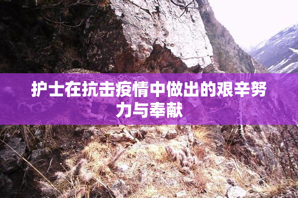 护士在抗击疫情中做出的艰辛努力与奉献