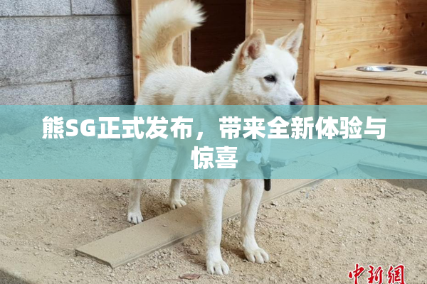 熊SG正式发布，带来全新体验与惊喜