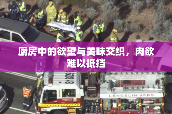 厨房中的欲望与美味交织，肉欲难以抵挡