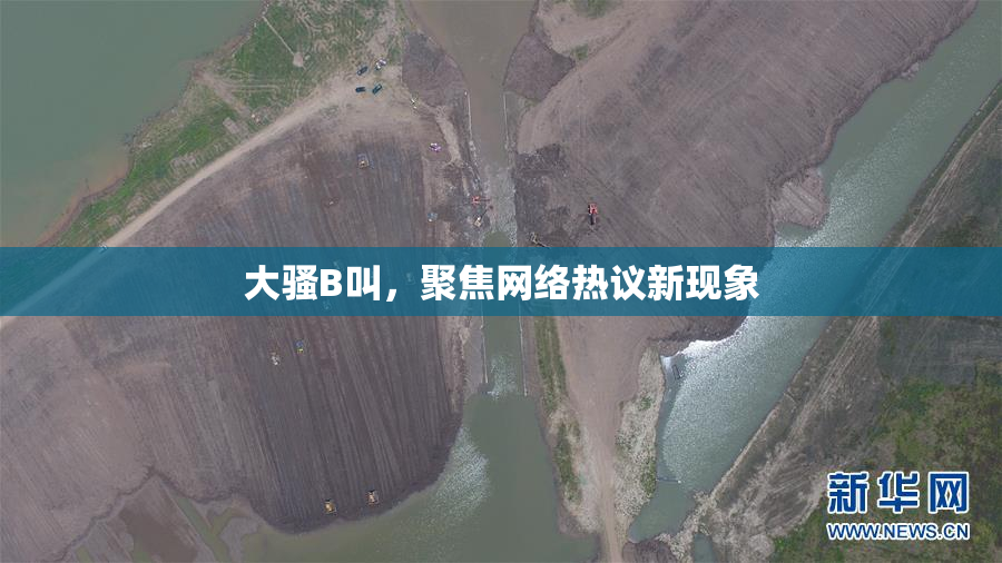 大骚B叫，聚焦网络热议新现象