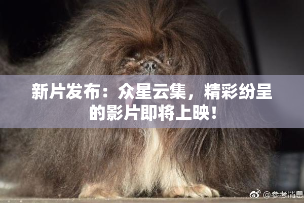 新片发布：众星云集，精彩纷呈的影片即将上映！