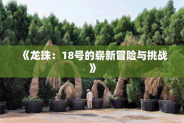 《龙珠：18号的崭新冒险与挑战》
