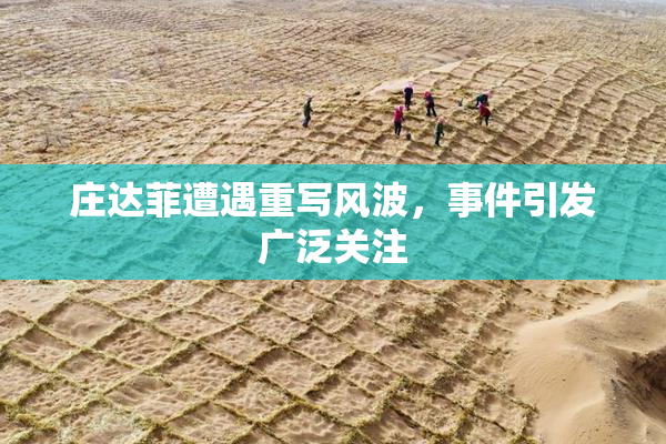 庄达菲遭遇重写风波，事件引发广泛关注