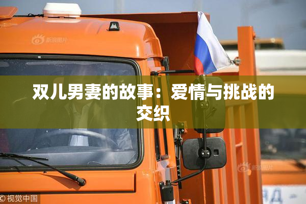 双儿男妻的故事：爱情与挑战的交织