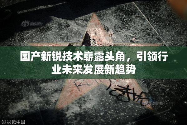 国产新锐技术崭露头角，引领行业未来发展新趋势