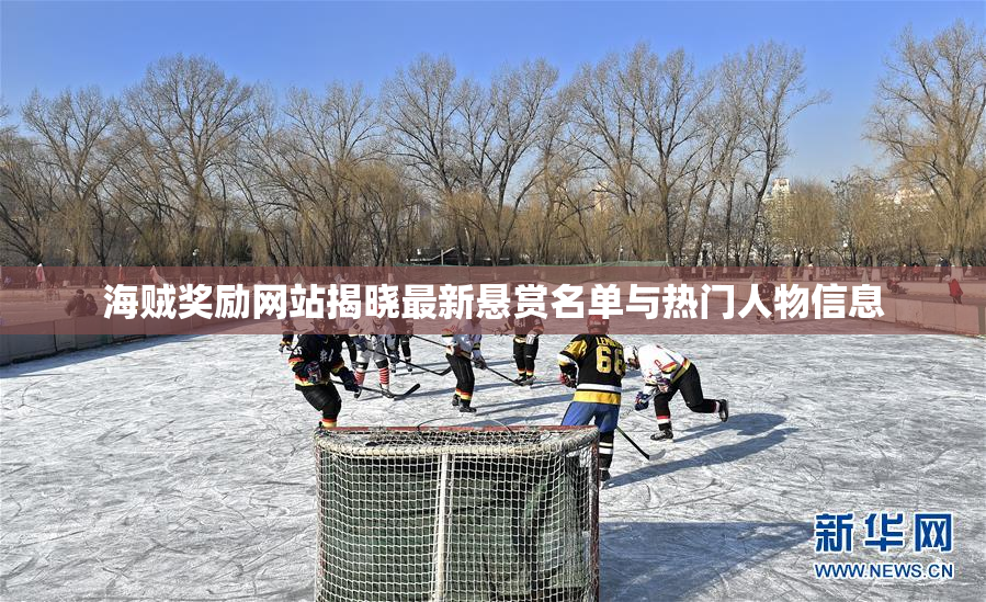 海贼奖励网站揭晓最新悬赏名单与热门人物信息