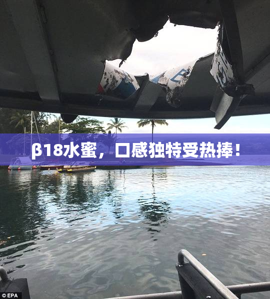 β18水蜜，口感独特受热捧！