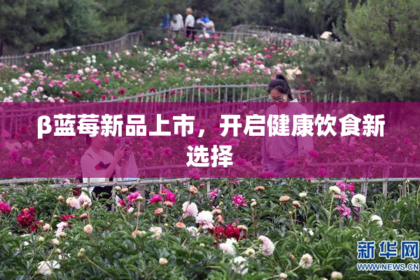 β蓝莓新品上市，开启健康饮食新选择