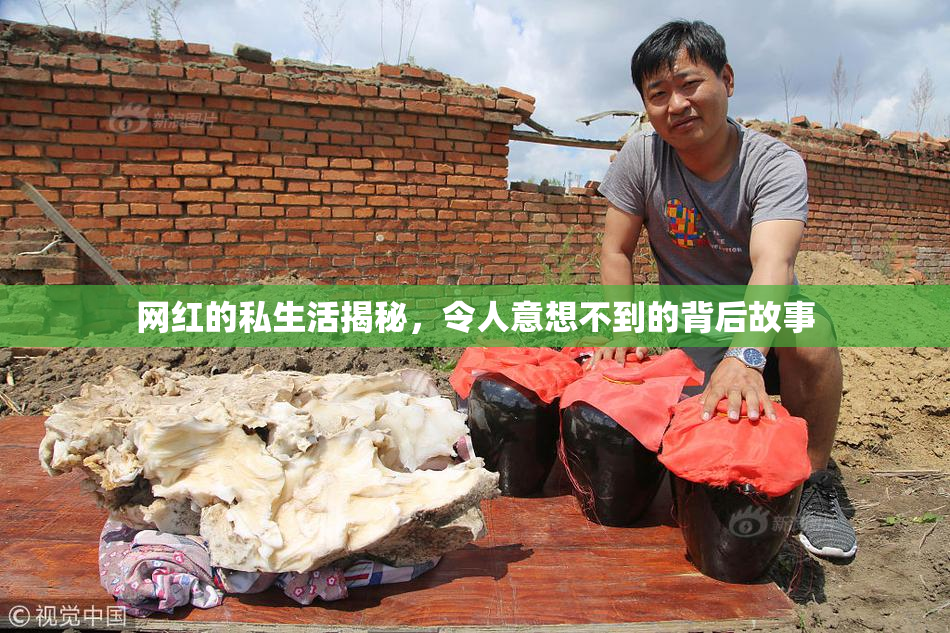 网红的私生活揭秘，令人意想不到的背后故事