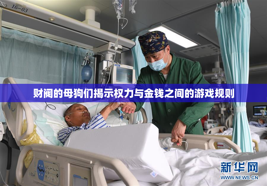 财阀的母狗们揭示权力与金钱之间的游戏规则