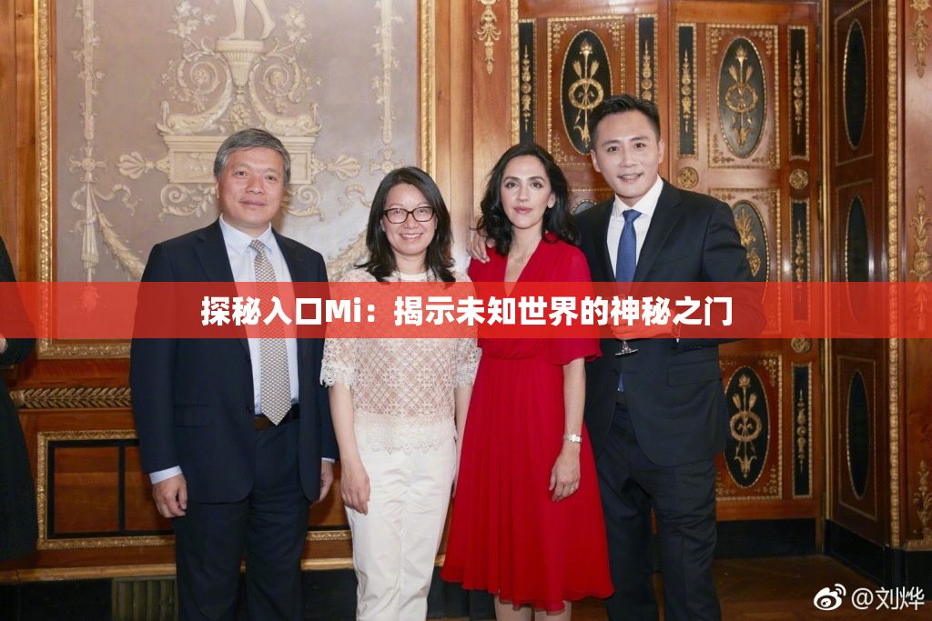 探秘入口Mi：揭示未知世界的神秘之门