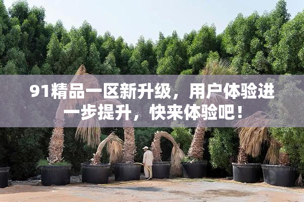 91精品一区新升级，用户体验进一步提升，快来体验吧！