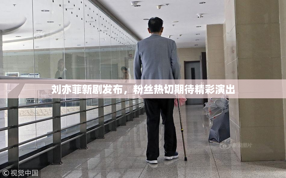 刘亦菲新剧发布，粉丝热切期待精彩演出