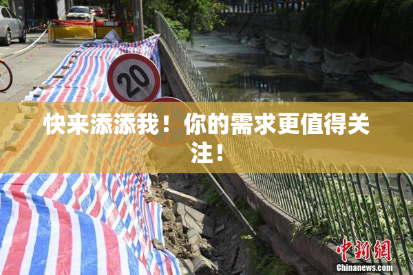 快来添添我！你的需求更值得关注！