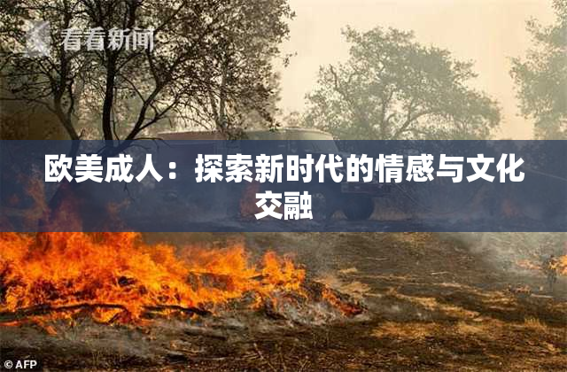 欧美成人：探索新时代的情感与文化交融