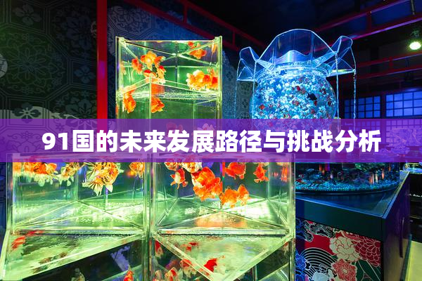 91国的未来发展路径与挑战分析