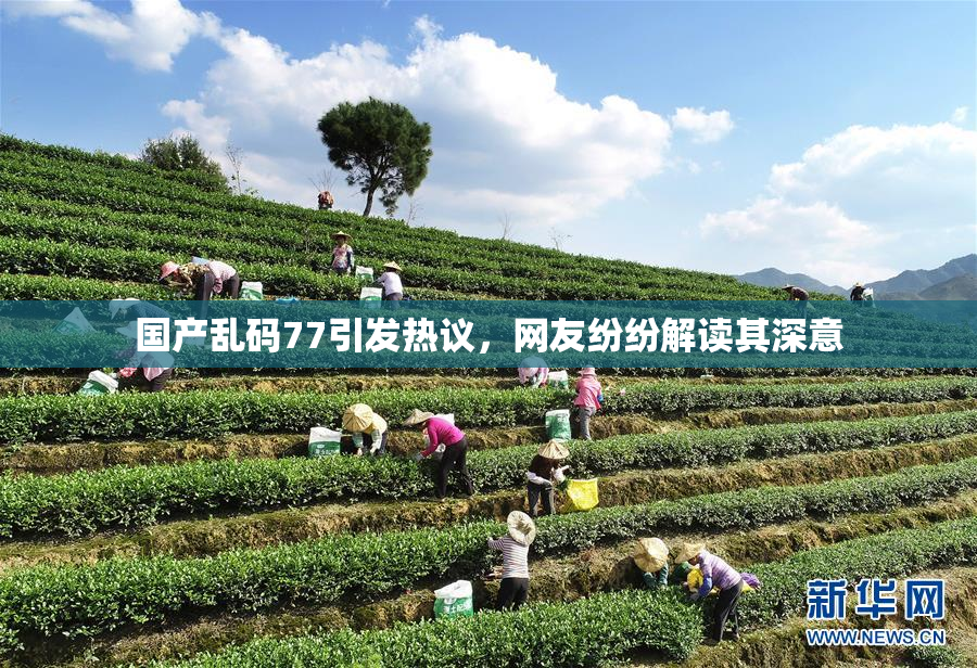 国产乱码77引发热议，网友纷纷解读其深意