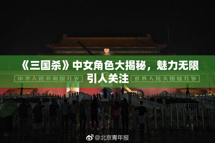 《三国杀》中女角色大揭秘，魅力无限引人关注