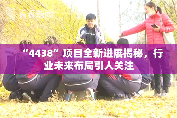 “4438”项目全新进展揭秘，行业未来布局引人关注