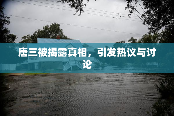 唐三被揭露真相，引发热议与讨论