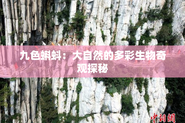九色蝌蚪：大自然的多彩生物奇观探秘