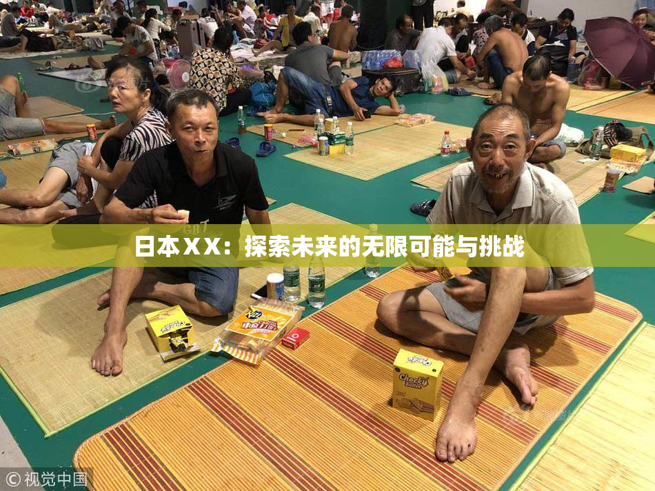 日本ⅩX：探索未来的无限可能与挑战