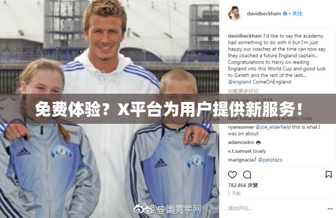 免费体验？X平台为用户提供新服务！