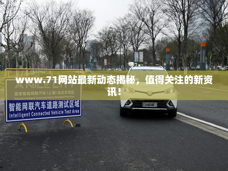 www.71网站最新动态揭秘，值得关注的新资讯！
