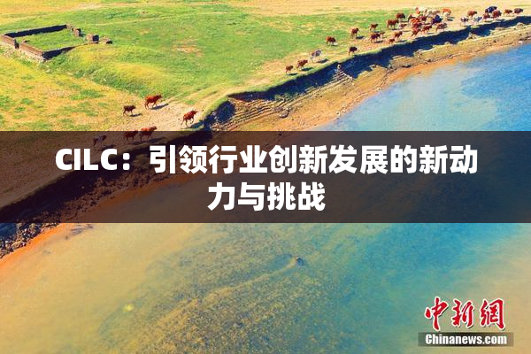 CILC：引领行业创新发展的新动力与挑战