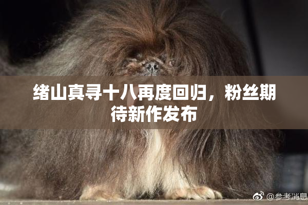 绪山真寻十八再度回归，粉丝期待新作发布
