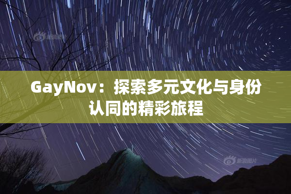 GayNov：探索多元文化与身份认同的精彩旅程