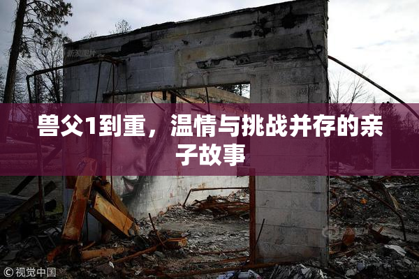 兽父1到重，温情与挑战并存的亲子故事