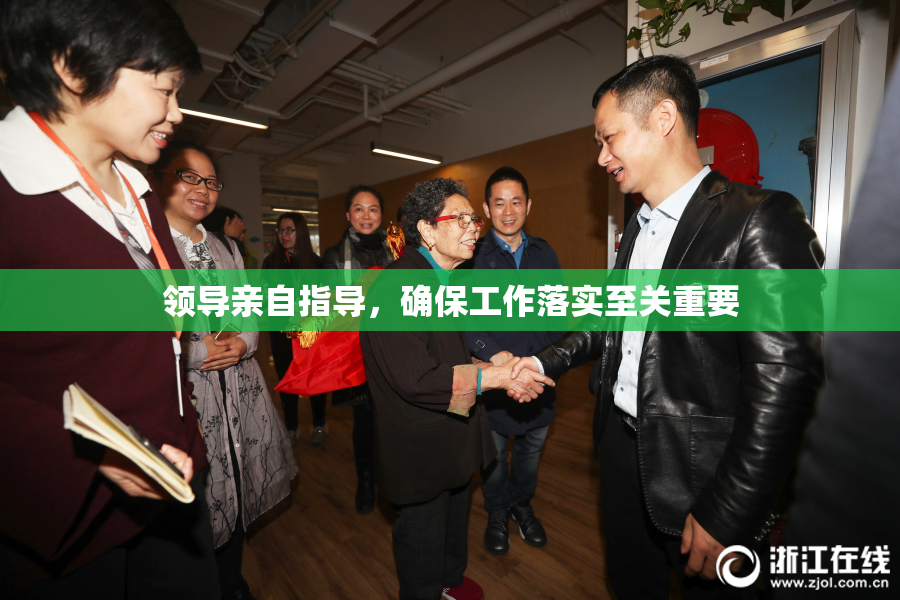 领导亲自指导，确保工作落实至关重要