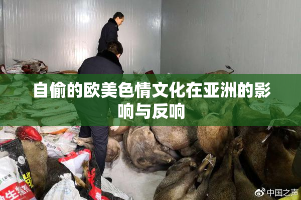 自偷的欧美色情文化在亚洲的影响与反响
