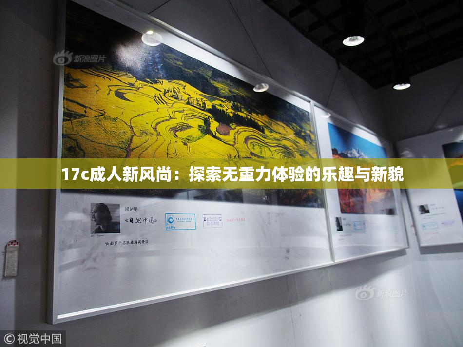 17c成人新风尚：探索无重力体验的乐趣与新貌