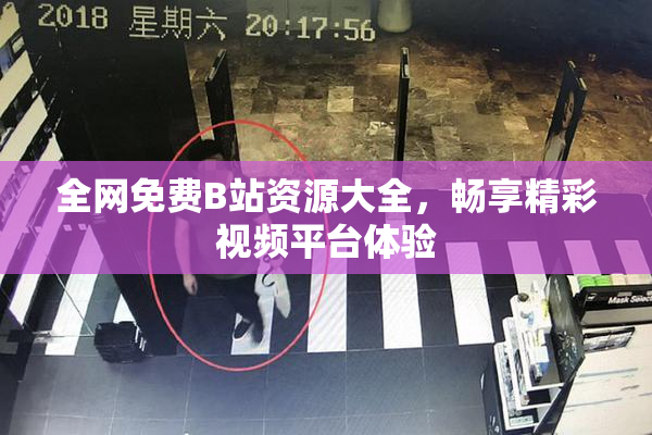 全网免费B站资源大全，畅享精彩视频平台体验